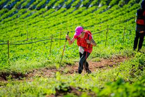 BIB: 
                            <button type="button" onclick="openModal(19161640)" class="btn btn-primary btn-sm float-right btn-popup" data-toggle="modal" data-target=".modal-high-quality">
                        <i class="fas fa-shopping-cart"></i> Add to Cart
                    </button>
                                            <button type="button" onclick="isThisMe(19161640, true)" class="btn btn-success btn-sm float-right btn-popup btn-isme hidden" data-toggle="tooltip" data-placement="bottom" title="นี่คือรูปของคุณใช่ไหม คลิกที่นี่เพื่อเอาเข้าอัลบั้ม">
                        <i class="fas fa-plus"></i> Add to album
                    </button>
                    <button type="button" onclick="isThisMe(19161640, false)" class="btn btn-warning btn-sm float-right btn-popup btn-isnotme hidden">
                        <i class="fas fa-ban"></i> Remove from album
                    </button>